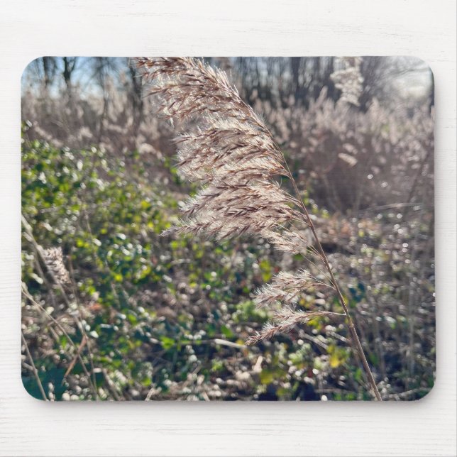 Höstblickar... Musmatta (Framsidan)