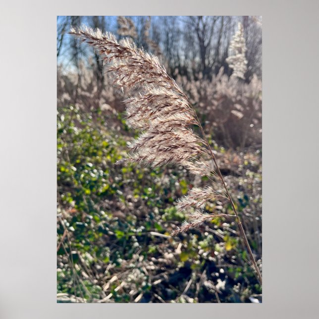 Höstblickar... Poster (Framsidan)