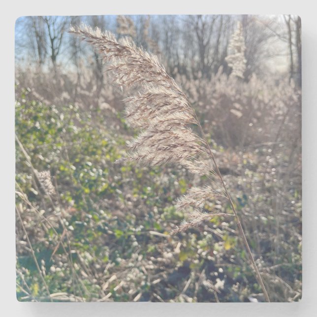 Höstblickar... Stenunderlägg (Framsidan)