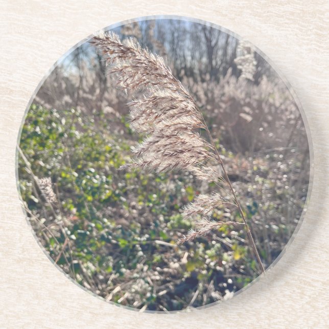 Höstblickar... Underlägg (Framsidan)