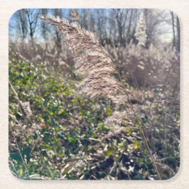 Höstblickar... Underlägg Papper Kvadrat