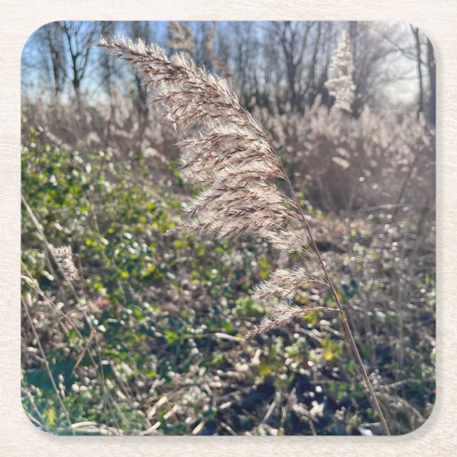 Höstblickar... Underlägg Papper Kvadrat (Framsidan)