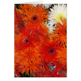 HÖSTBLOM HÄLSNINGSKORT