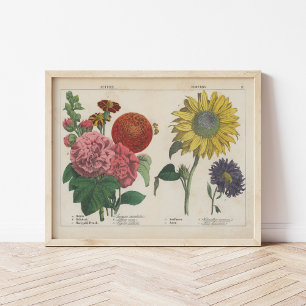 Höstblommor Charlotte Mary Yonge Poster