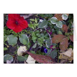 Höstblommor Hälsningskort