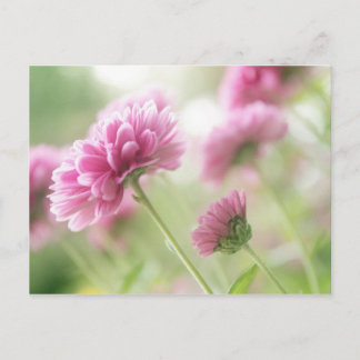 Höstblommor Vykort