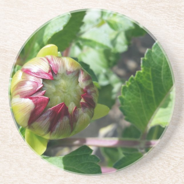 höstbud underlägg sandsten (Framsidan)