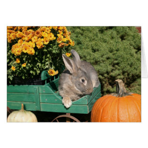 Höstbunny Hälsningskort