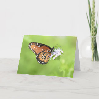 Höstbutterflugnotekare (blank insida) kort