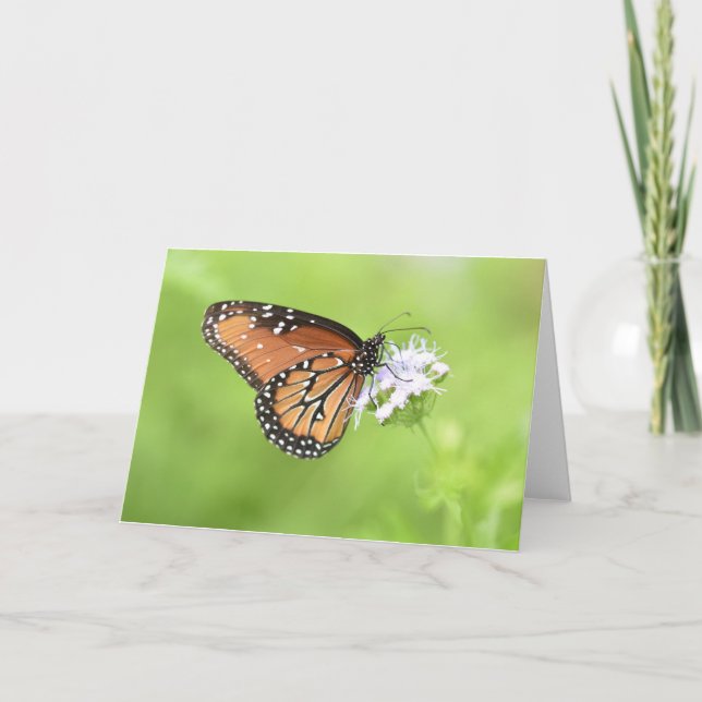 Höstbutterflugnotekare (blank insida) kort (Framsida)
