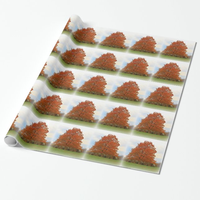 Höstdag Presentpapper (Utrullad)