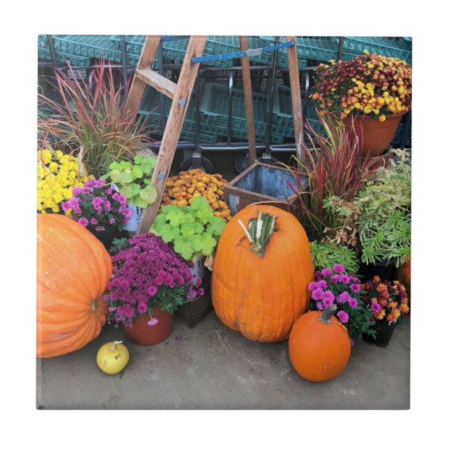 Höstdecennium Kakelplatta (Framsidan)