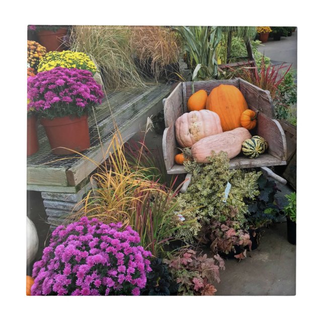 Höstdecennium Kakelplatta (Framsidan)