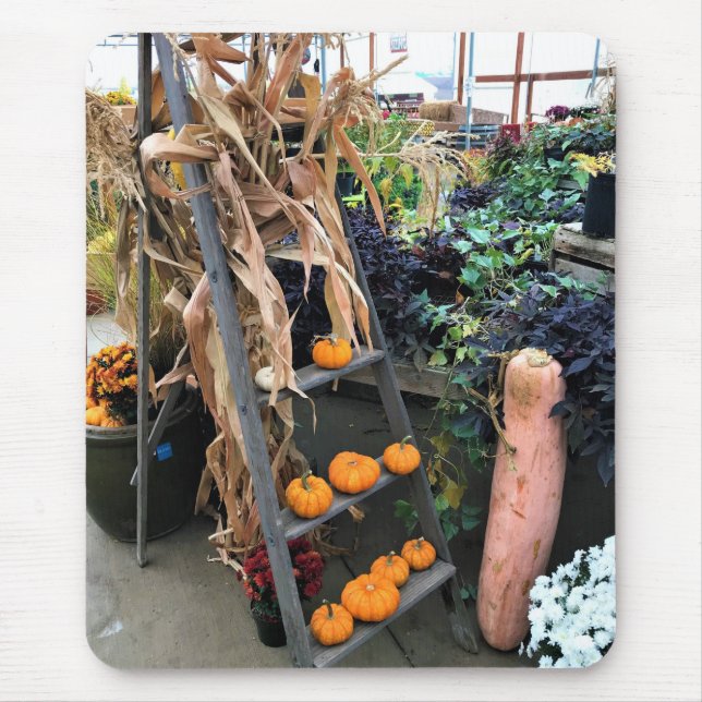 Höstdecennium Musmatta (Framsidan)