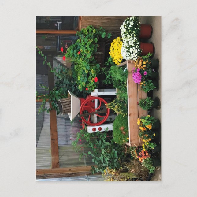 Höstdecennium Vykort (Framsida)