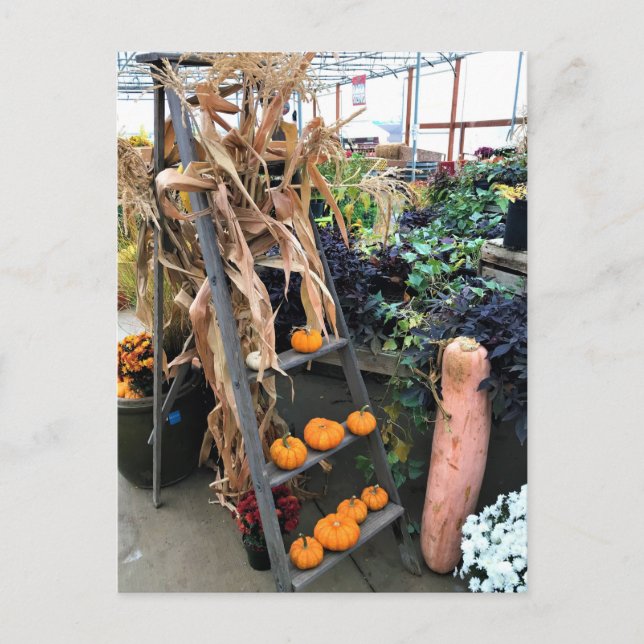 Höstdekor Vykort (Framsida)