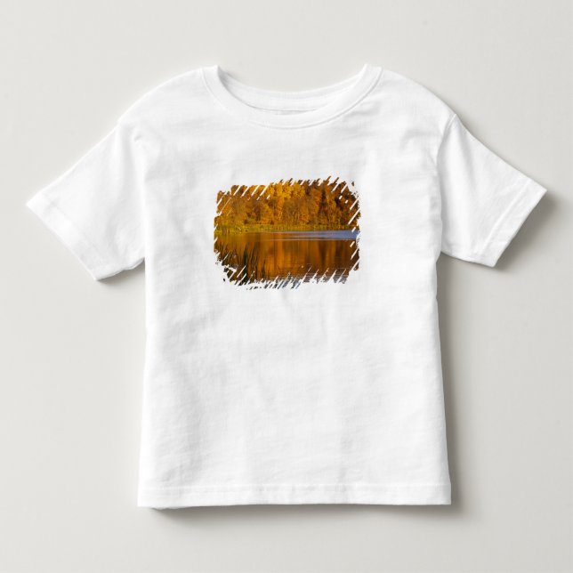 Höstdetaljer i Maplewood State Park nära T-shirt (Framsida)