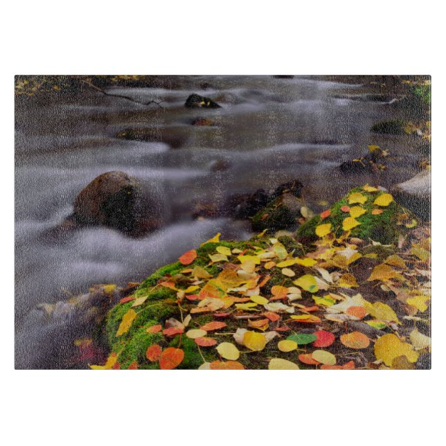 Höstdetaljer längs McGee Creek (Framsidan)