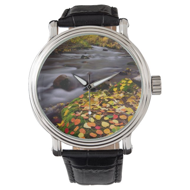Höstdetaljer längs McGee Creek Armbandsur (Framsida)