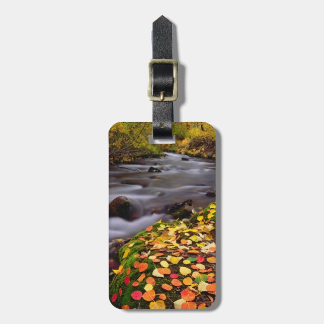 Höstdetaljer längs McGee Creek Bagagebricka (Vertikal Framsida)