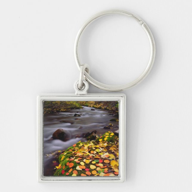Höstdetaljer längs McGee Creek Fyrkantig Silverfärgad Nyckelring (Framsidan)