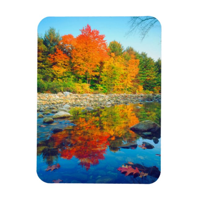 Höstdetaljer reflekterade i en å i Vermont Magnet (Vertikal)