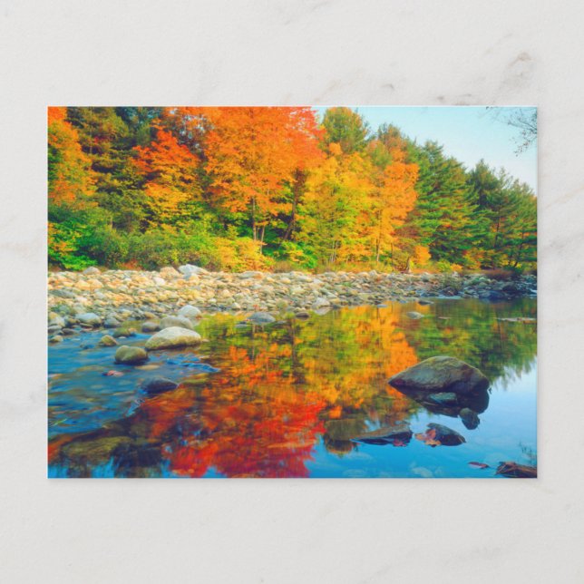 Höstdetaljer reflekterade i en å i Vermont Vykort (Framsida)