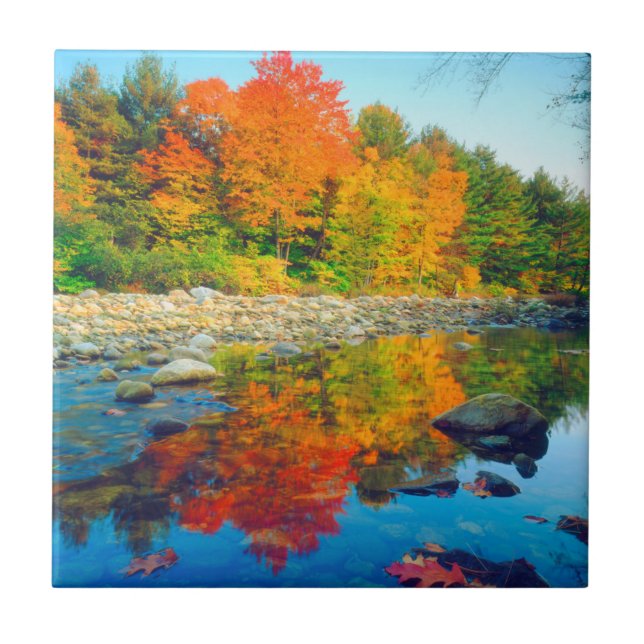 Höstdetaljer reflekteras i en å i Vermont Kakelplatta (Framsidan)