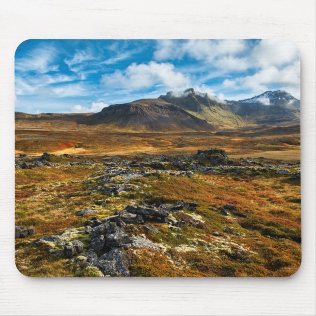 Höstdiskar på landskapet musmatta (Framsidan)