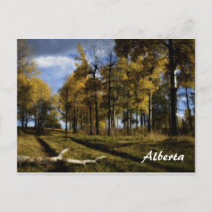 Hösteftermiddag, Alberta Vykort
