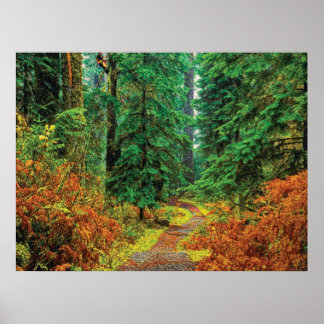 Hösten 31 cmyk poster