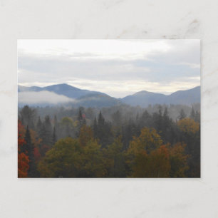 Hösten Adirondacks Träd Scene Ligcape Vykort