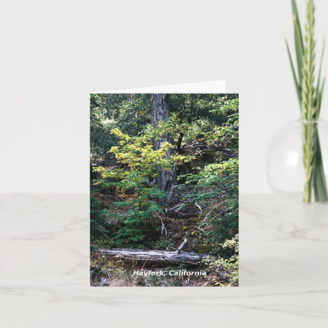 Hösten är här..... kort (Framsida)