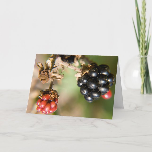 Hösten Berries Greeting Cards Kort (Framsida)