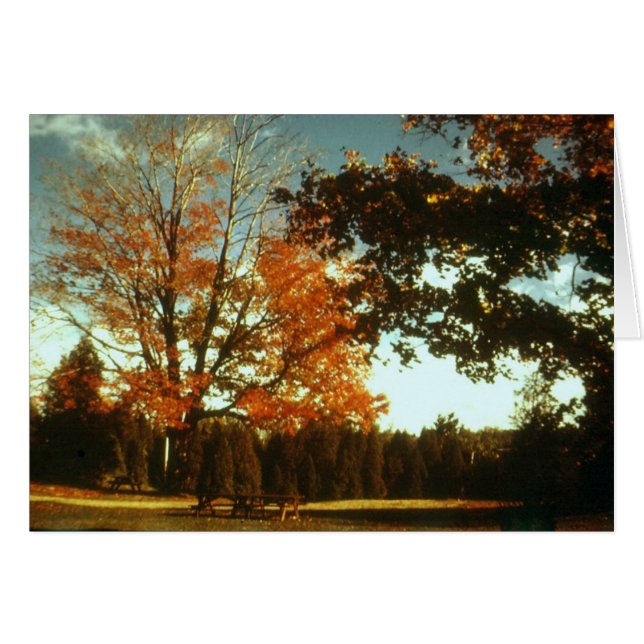 Hösten börjar hälsningskort (Framsidan Horizontal)