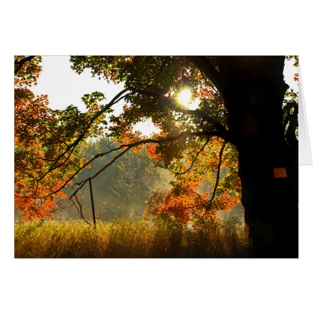 Hösten Bra God morgon OBS Kort (Framsidan Horizontal)