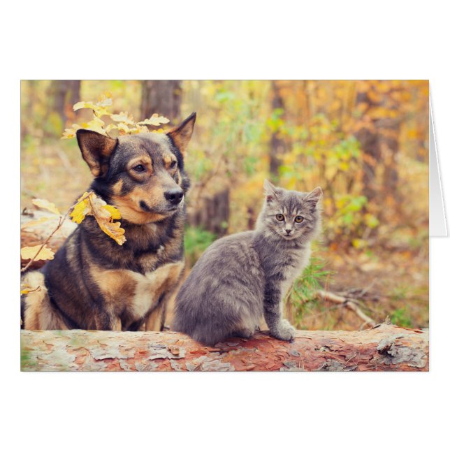 Hösten Buddies: Grått Kitten och Lycklig Puppy Hälsningskort (Framsidan Horizontal)