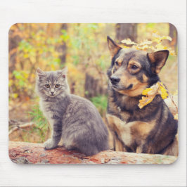 Hösten Buddies: Grått Kitten och Lycklig Puppy Musmatta