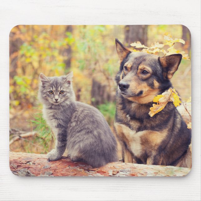 Hösten Buddies: Grått Kitten och Lycklig Puppy Musmatta (Framsidan)