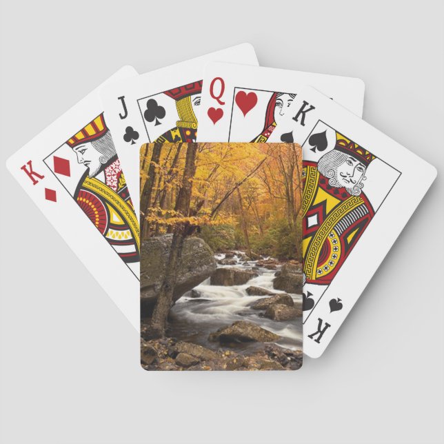 Hösten Cascade Casinokort (Baksidan)