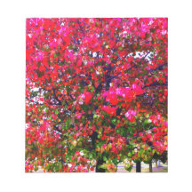 Hösten Changing Lövs, rosa impressionistisk träd