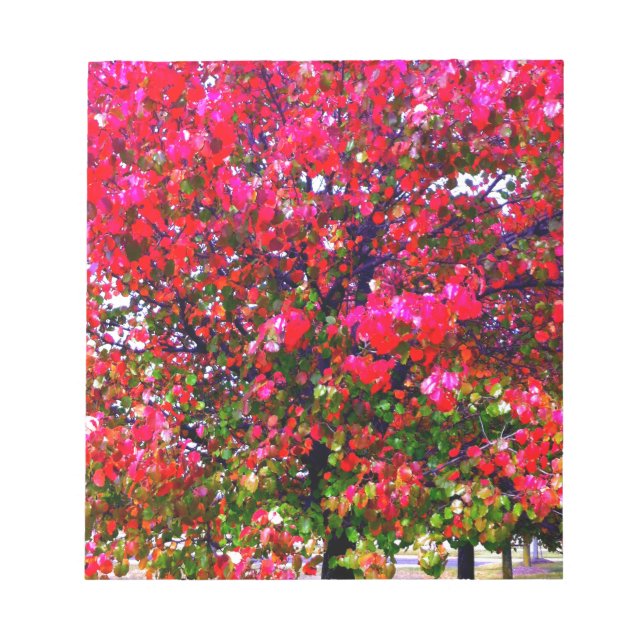 Hösten Changing Lövs, rosa impressionistisk träd Anteckningsblock (Framsida)