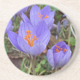 Hösten Crocus Underlägg