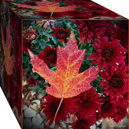 Hösten - delight Photo Art Print by Stan Fototryck