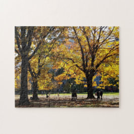 Hösten eftermiddag i Centralparken Pussel