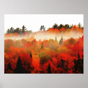 Hösten Fält Adirondacks Träd Scene Landskap Poster