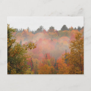 Hösten Fält Adirondacks Träd Scene Landskap Vykort