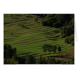 Hösten fält, Prem, Slovenien Hälsningskort