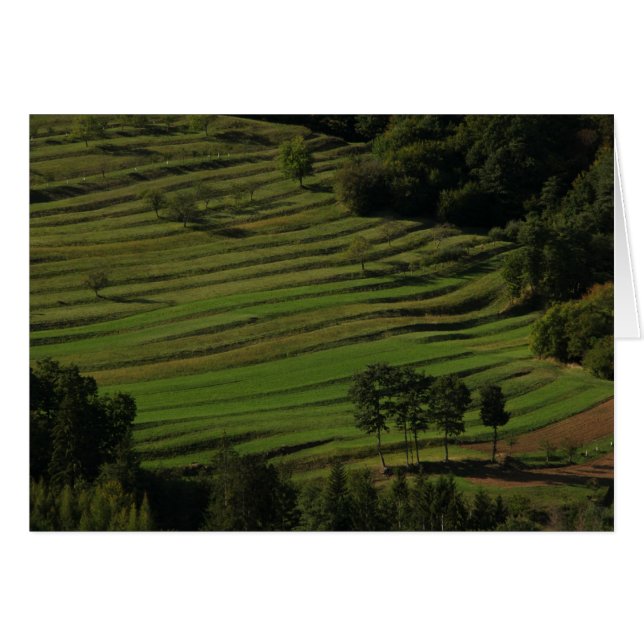 Hösten fält, Prem, Slovenien Hälsningskort (Framsidan Horizontal)