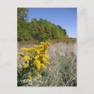 Hösten Fält vykort